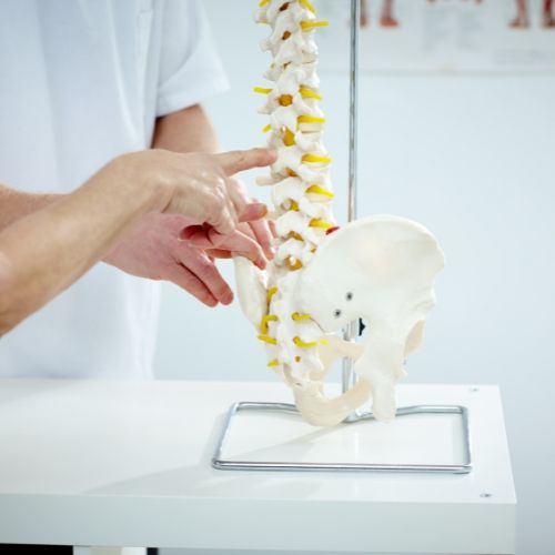 Pediatric Chiropractor in Little Elm TX 2 Pediatric Chiropractor in Little Elm, TX